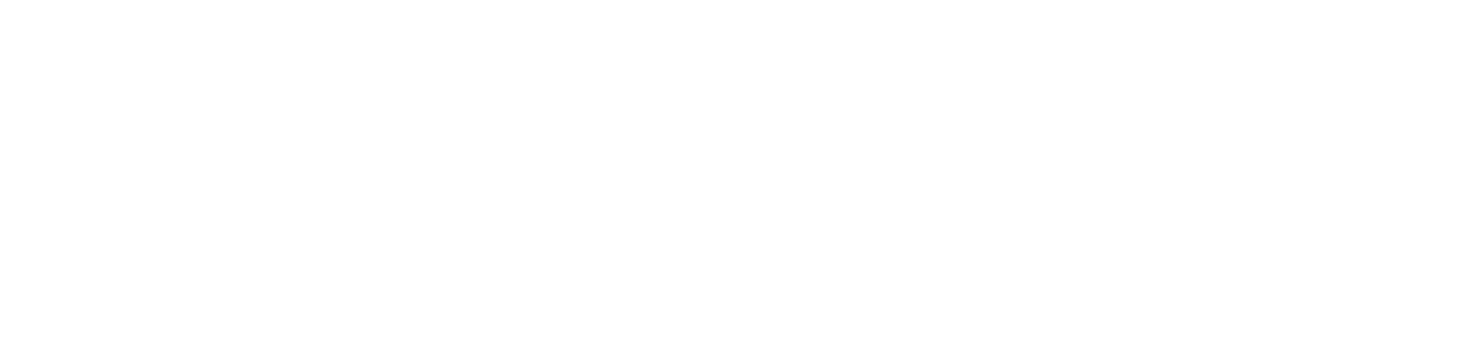 TurinTransfer